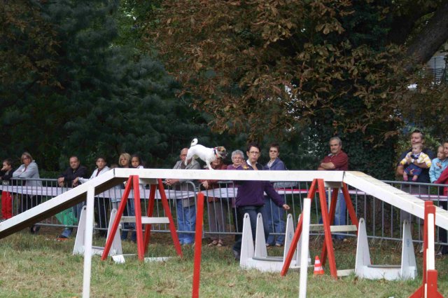 foire-haricots 2011-09-17et18